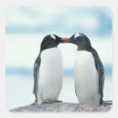 Search for two penguins stickers Animal