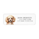 Search for poodles return address labels Cute