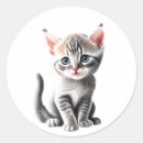Search for rescue pet stickers Kitten