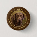 Search for chesapeake badges Chesapeake bay retriever