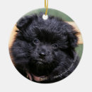 Search for black pomeranian christmas tree decorations Loulou