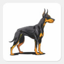 Search for front view stickers Animal