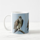 Search for osprey mugs Birds of prey