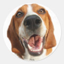 Search for dog picture stickers Pets