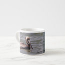 Search for brown pelican mugs Bird