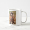 Search for wild mustangs mugs Nature