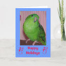 Search for budgie cards Pet