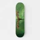 Search for fly skateboards Fantasy
