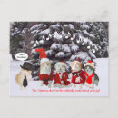 Search for singing cats christmas cards Funny