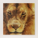 Search for big lion puzzles Mammal