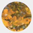 Search for oak leaves stickers Fall
