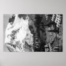 Search for mt rainier posters Photograph