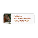 Search for quarter horse return address labels Equestrian