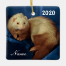 Search for pet ferret christmas tree decorations Animal