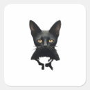 Search for installer stickers Wallpaper