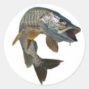 Search for fish on musky stickers Trout