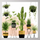 Search for oasis posters Greenery