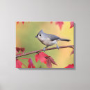 Search for bird watcher art Birds and blooms
