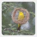 Search for weaver stickers Wildlife