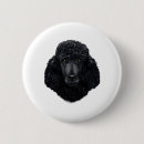 Search for black poodle badges Puppy
