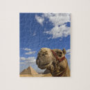 Search for egypt pyramids puzzles Cairo
