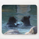 Search for swim mousepads Mammal