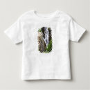 Search for mount rainier national park tshirts Travel