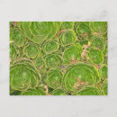 Search for green environment postcards Plant