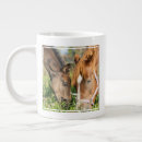 Search for colt mugs Foal