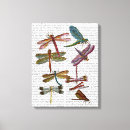Search for dragonfly canvas prints Flower leaves