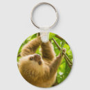Search for curious key rings Nature