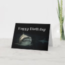 Search for funny shark birthday cards Happy