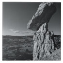 Search for new mexico tiles Black and white