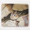 Search for chipmunk mousepads Nature