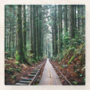 Search for tracks coasters Forest