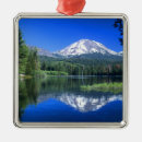 Search for california christmas tree decorations Camping