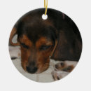 Search for beagle christmas tree decorations Pets
