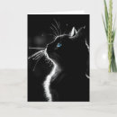Search for black cat birthday cards Kitty