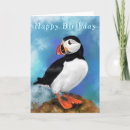 Search for puffin cards Bird