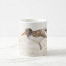 Search for in beak mugs Beach