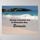 Search for pink sand beach posters Bermuda