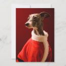 Search for greyhound christmas cards One animal