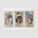 Search for flower seed packets Vintage