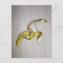 Search for skin postcards Banana