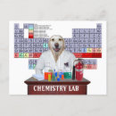 Search for funny chemistry teacher Dog