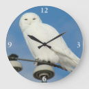 Search for snowy owl posters Ornithology