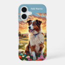 Search for border collie cases Canine