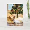Search for pembroke welsh corgi christmas cards Cute