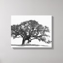 Search for black oak tree art Trees