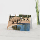 Search for habitat cards Wildlife